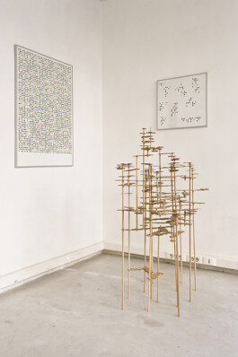 Didier Bequillard