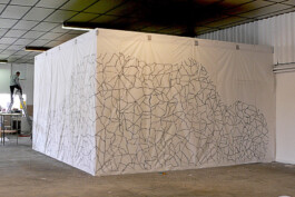 Didier Bequillard