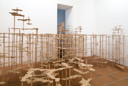 Didier Bequillard