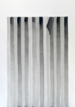 Didier Bequillard