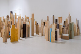 Didier Bequillard