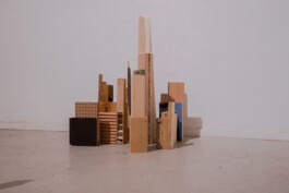 Didier Bequillard