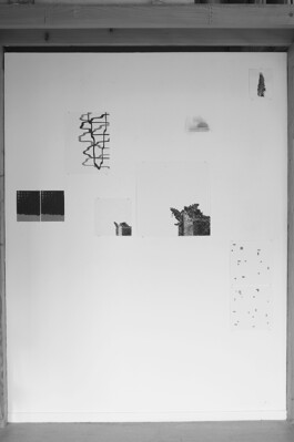 Didier Bequillard