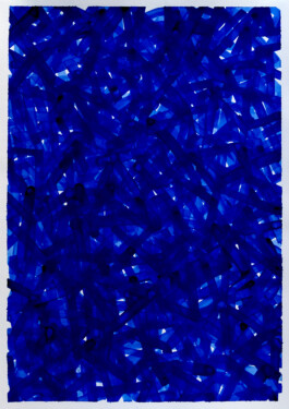 Didier Bequillard