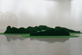 Didier Bequillard