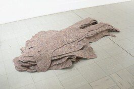 Didier Bequillard