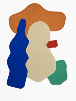 Didier Bequillard