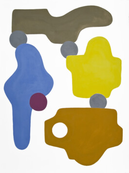 Didier Bequillard