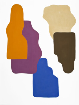 Didier Bequillard