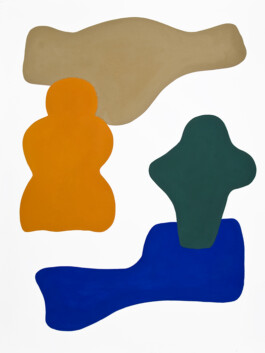 Didier Bequillard