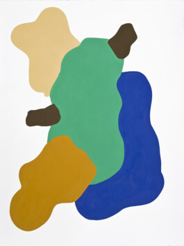 Didier Bequillard