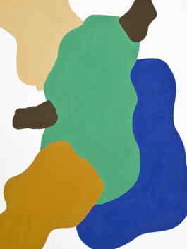 Didier Bequillard