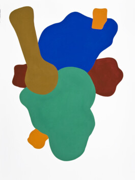 Didier Bequillard