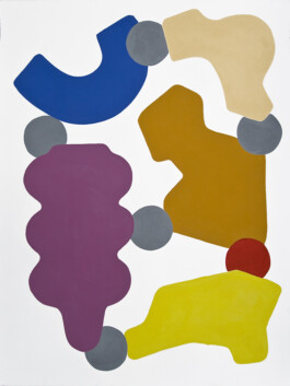 Didier Bequillard