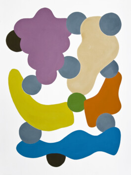 Didier Bequillard