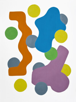 Didier Bequillard