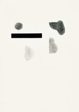 Didier Bequillard
