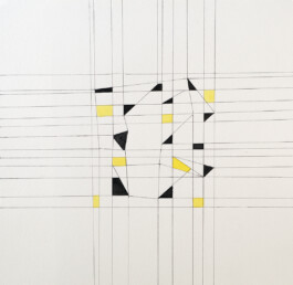 Didier Bequillard