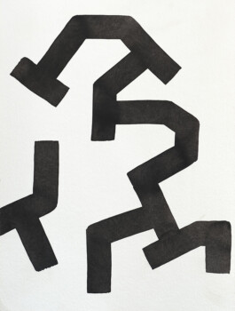 Didier Bequillard