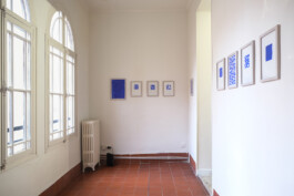 Didier Bequillard