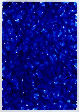 Didier Bequillard