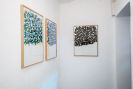 Didier Bequillard