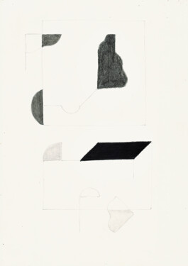 Didier Bequillard