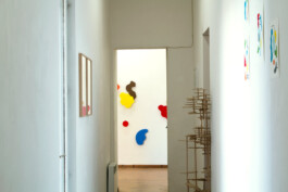 Didier Bequillard
