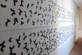 Didier Bequillard