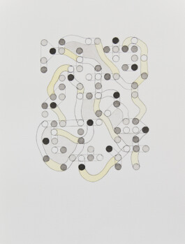 Didier Bequillard