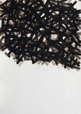 Didier Bequillard