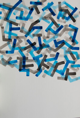 Didier Bequillard
