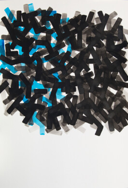 Didier Bequillard