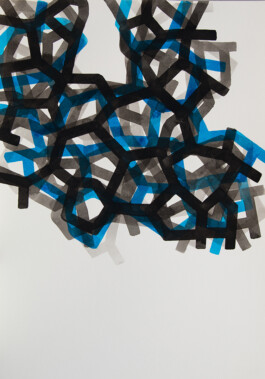 Didier Bequillard