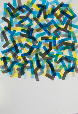 Didier Bequillard