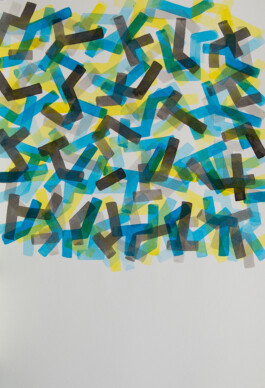 Didier Bequillard