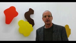 Didier Bequillard