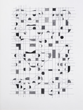 Didier Bequillard