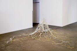 Didier Bequillard