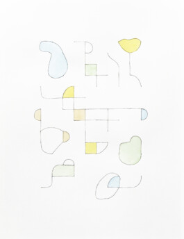 Didier Bequillard