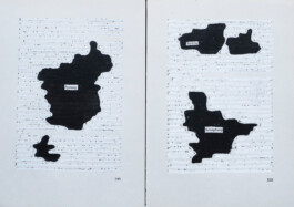 Didier Bequillard