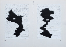 Didier Bequillard