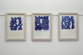 Didier Bequillard