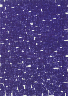 Didier Bequillard
